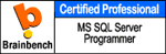 MS Access Programmer